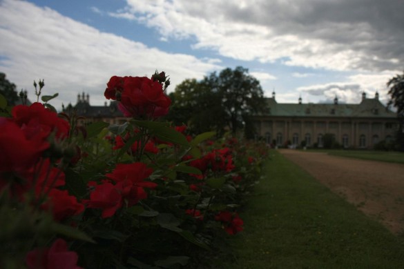 Dresden